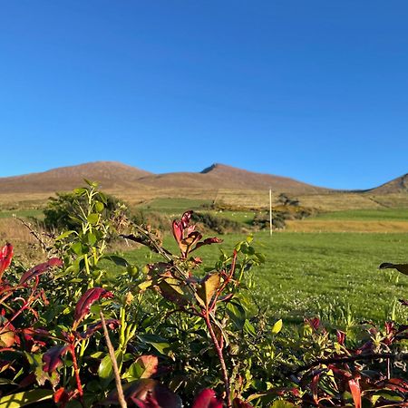 Beenoskee Bed And Breakfast Castlegregory Exterior photo